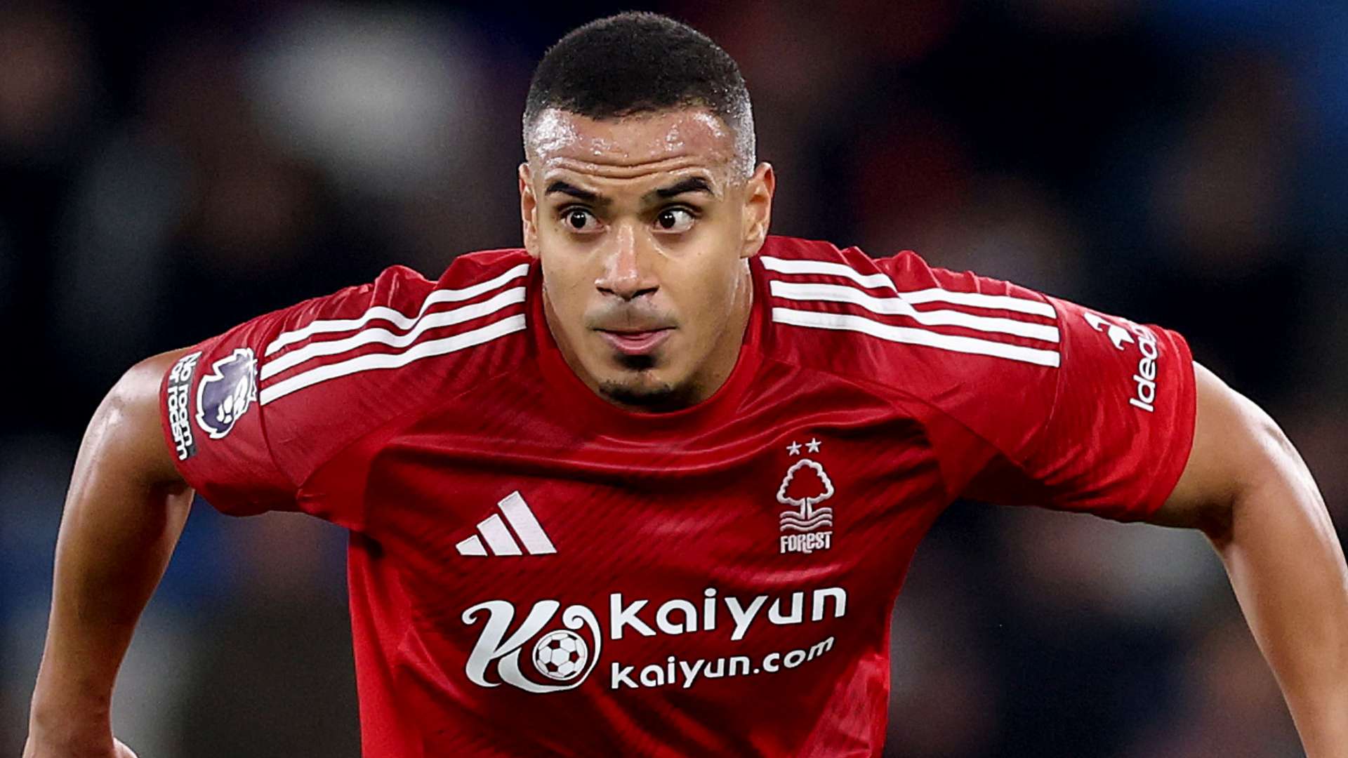 快速打击巴 快速打击巴